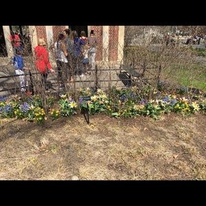 Meet your Posher, Joyce